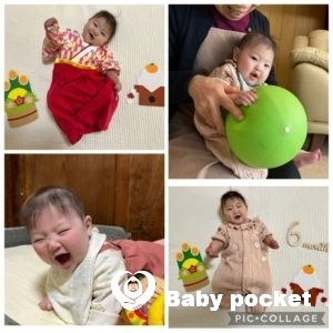 キグナスちゃん ハーフバースデーを迎えました