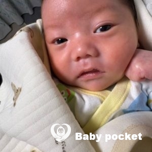 マロンぼーや君をお迎えしました