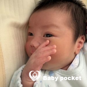 マロンぼーや君をお迎えしました