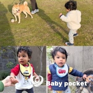 ドレミくん 生後11ヶ月のご報告