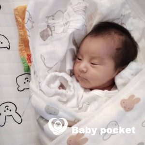 我が家に「小さな可愛いアイドル」がやってきてくれました