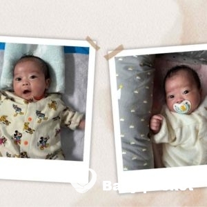 トレモロ君2ヶ月のご報告