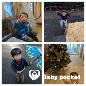 ハウオリくん 2歳6ヶ月になりました