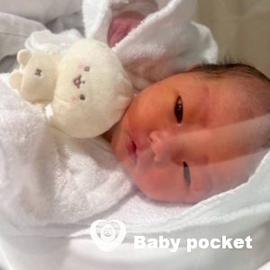 我が家にかわいいヒーローのマハロくんをお迎えしました!