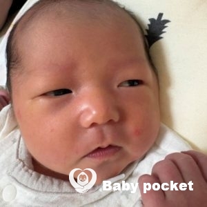 我が家にかわいいヒーローのマハロくんをお迎えしました！