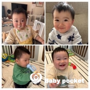 ウィリーくん 10カ月のご報告