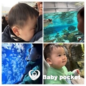 ウィリーくん 10カ月のご報告