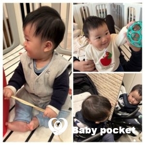 ウィリーくん 10カ月のご報告