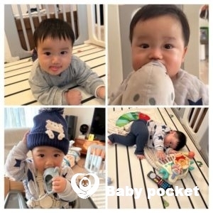 ウィリーくん 10カ月のご報告