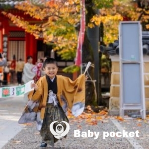 あるぴ君 七五三詣りのご報告