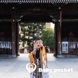 あるぴ君 七五三詣りのご報告