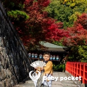 あるぴ君 七五三詣りのご報告