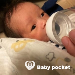 はやてくんをお迎えしました!