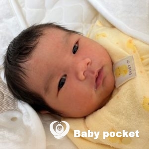 クリスマスローズちゃんをお迎えしました。