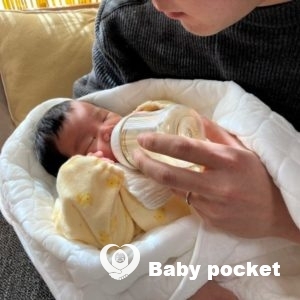 クリスマスローズちゃんをお迎えしました。