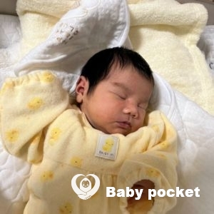 クリスマスローズちゃんをお迎えしました。