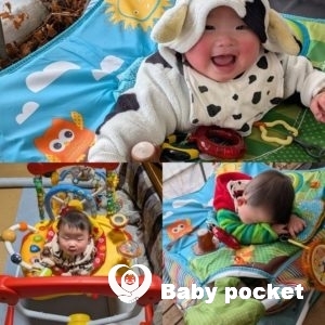 こがねもち君と初めてのクリスマスと年末年始