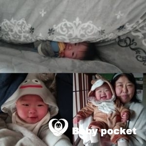 こがねもち君と初めてのクリスマスと年末年始