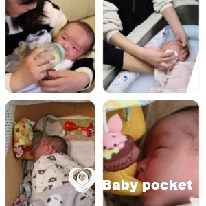 ぽんくんの1か月