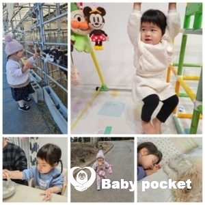 ナラちゃん2才になりました