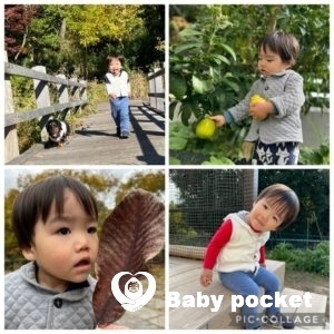 ペガサスくん　2歳6ヶ月になりました