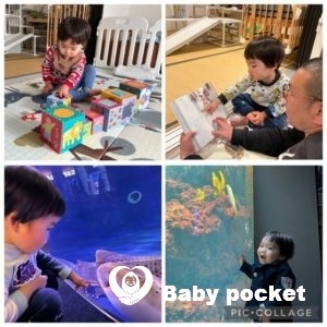 ペガサスくん 2歳6ヶ月になりました