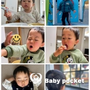 チルくん3歳になりました