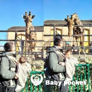 コジコジちゃん近況報告