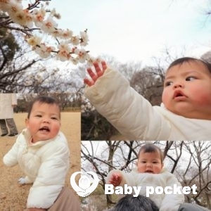 コジコジちゃん近況報告