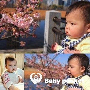 コジコジちゃん近況報告