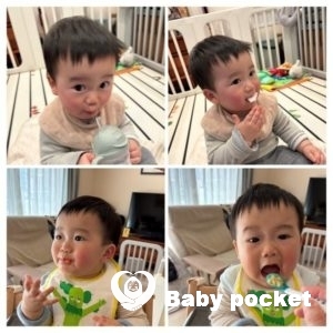 ウィリーくん 入籍のご報告