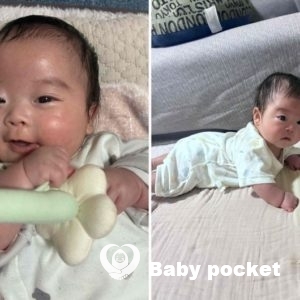 トレモロ君のお宮参りとお食い初めをしました