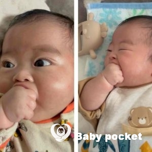 トレモロ君のお宮参りとお食い初めをしました