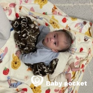 ハーフバースデーを迎えたアダマンタ君