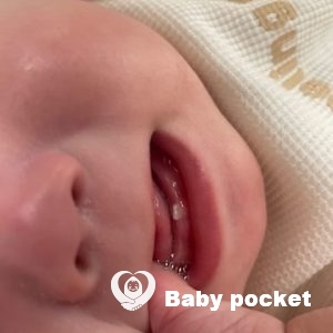 ハーフバースデーを迎えたアダマンタ君