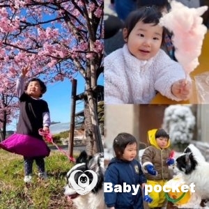 うさおとちゃんの2歳6か月