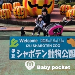 ニャーちゃん三歳六か月になりました