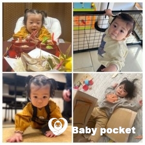 ポニョちゃん１歳になりました！