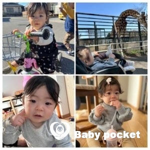 ポニョちゃん１歳になりました！