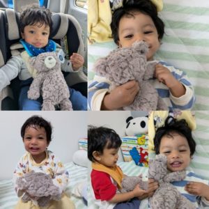 ドレミくん　1歳1ヶ月のご報告