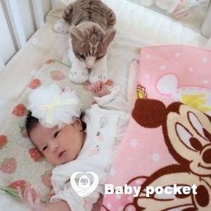 ケセラちゃんをお迎えしました。