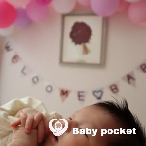 ケセラちゃんをお迎えしました。