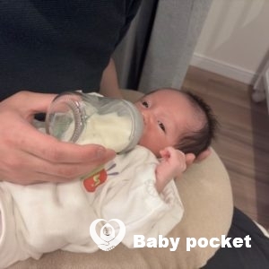 マダイくんをお迎えしました！