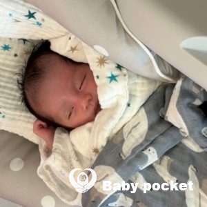 マダイくんをお迎えしました！