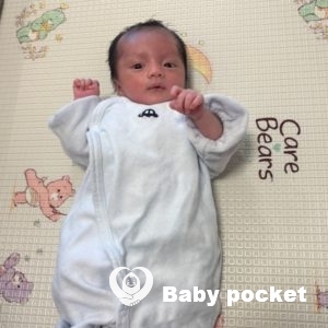 マダイくんをお迎えしました!