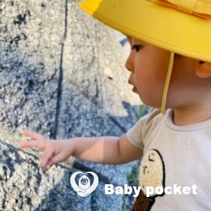 チャーリーくん3歳誕生日と近況のご報告