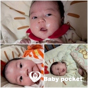 サンドラちゃんをお迎えしました☆