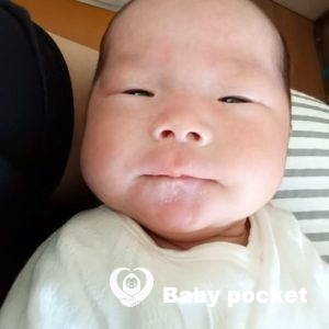 クマノミちゃんをお迎えしました