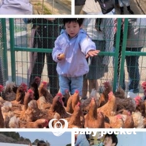 ルターくん5歳、4月より年長さんになりました。