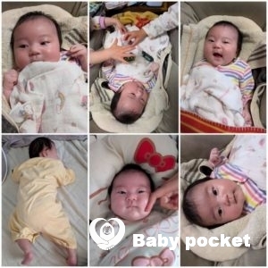 サンドラちゃん1ヶ月健診とお宮参りの報告